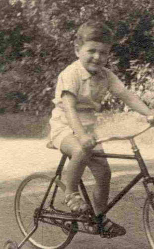 A boy in shorts and t-shirt riding a bicycle with two extra wheels. He was photographed outside - some plants are visible in the background.