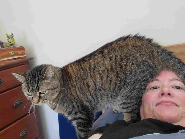 A fuzzy brown tabby places his butt directly onto my forehead. My face is pink and slightly amused. The cat looks annoyed with either the camera or his inability to comfortably sit on my head.