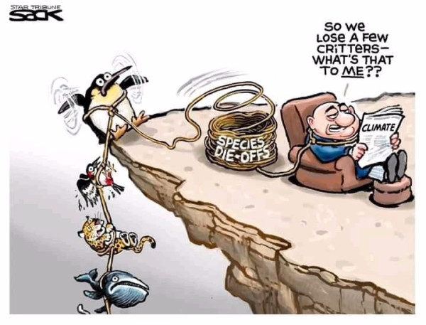 Editorial cartoon shows a chubby middle-aged white male sitting in a recliner, perched near the edge of a cliff. He is reading a newspaper article about the effects of climate change. The man says to himself, "So we lose a few critters – what's that to me??" But behind him is an unfurling coil of rope labeled "Species die-offs." The far end of the rope holds multiple animals falling off the cliff. We see a whale, a leopard, a tropical bird, and a penguin tied to the rope. Others must also be there, out of the picture. The closer end of the rope is a noose around the man's neck.