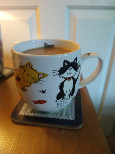 Mug of tea on a bedside cabinet with a cartoon black and white cat with a red collar 'posh cat'
