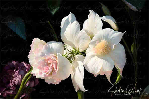 Image of a soft pink, white and yellow bouquet of flowers in a natural setting from a greenhouse. Flowers are beautifully set against a dark background. This digital artwork is from the Fine Art Gallery of Shelia Hunt.