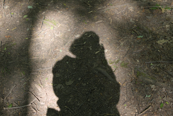 A Shadow Portrait of the photographer, she has on a hat and has a bobbed haircut. The shadow lies on the ground which is covered in sticks, rocks and leaves. light-sections frame the shadow of the girl.