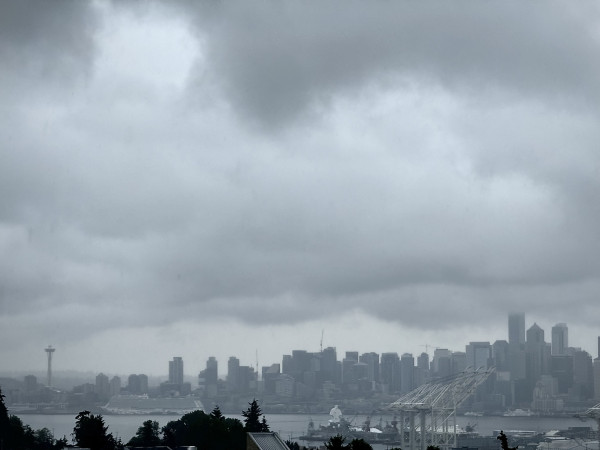 A rain shrouded city skyline with a prominent tower, tall buildings, a body of water, and heavy, dark gray clouds.