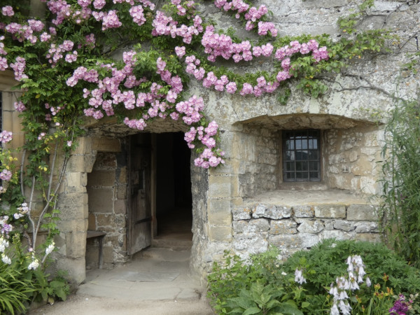 Pink roses around a doorway and deep set window in an old stone building