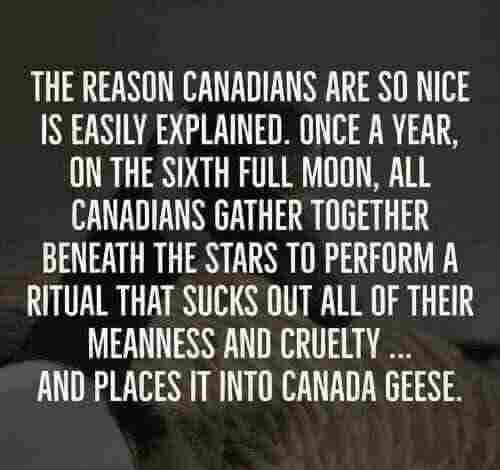 Text on a background humorously suggesting that Canadians are nice because they perform a yearly ritual under the full moon that transfers their meanness to Canada geese.