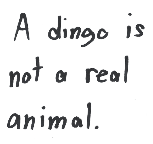 A dingo is not a real animal.
