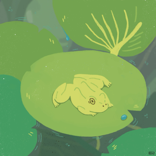 digital art of a frog on some lillypads