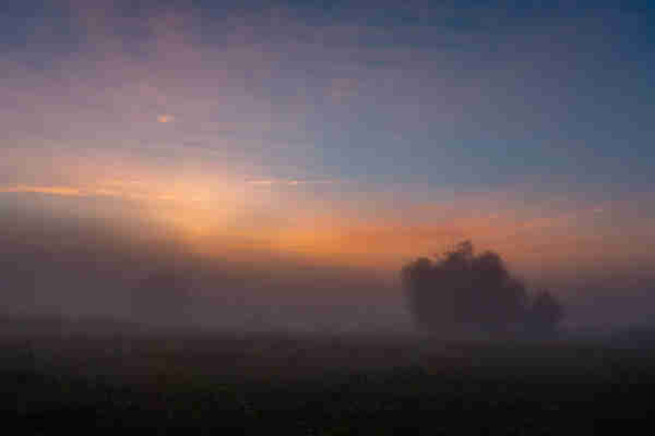 looking through low lying fog towards the sun about to rise