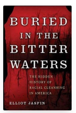 The cover of Buried in the Bitter Waters: The hidden history of racial genocide in America by Elliot Jaspin