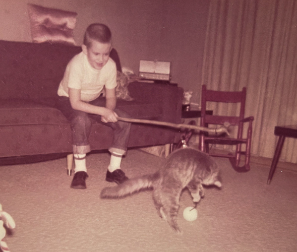 Faded color photo of a young white boy in a white t-shirt and blue jeans sitting on a dark brown couch. The boy is laughing and using a fishing pole style cat toy, a stick with a white ball tied to it by a dangling string. A grey medium haired cat is leaping up chasing the ball.