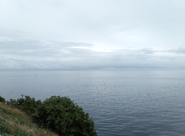 Photo of the sea taken from the coast of Gijón. In the bottom left corner is part of the coast which is a bush. The rest is the sea and sky which is the majority of the picture 