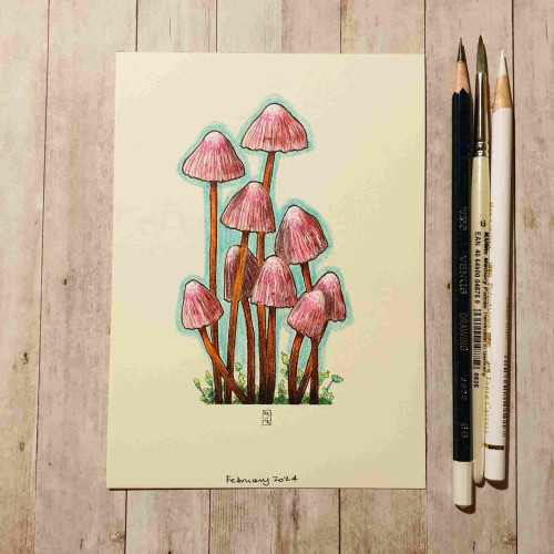 Original drawing - Little Pink and Red Mushrooms
A colour drawing of pink and red mushrooms on acid free cream coloured paper. The drawing measures 5 by 7 inches.
Materials: colour pencil, mixed media, acid free cream artist paper
Width: 5 inches
Height: 7 inches