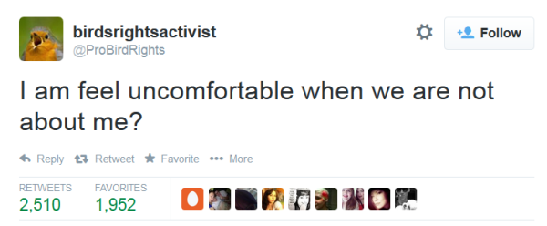 Classic Twitter post by birds rights activist that reads: "I am feel uncomfortable when we are not about me?"