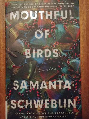 Mouthful of Birds, by Samanta Schweblin