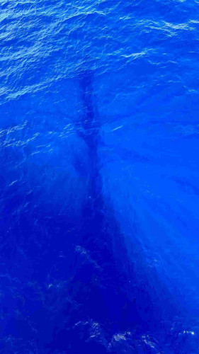 Shadow of the bow of a boat in very blue water. 