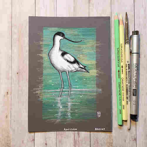 Original drawing - Pied Avocet Bird
A colour drawing of a pied avocet, a white and black water bird with a curved beak.
Materials: coloured pencil, mixed media, acid free grey pastel paper
Width: 5 inches
Height: 7 inches