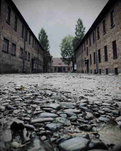 Photo of a street in the former Auschwitz camp. The photo was taken from the perspective of the ground. The wet stones are very clearly visible in the foreground - many of them are rounded. To the left and right, two-story red brick buildings with windows are visible. In the far left a brick building and some trees close the frame.
