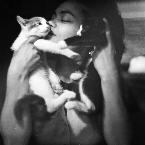 A black and white photo a bit hazy, a cute black lady kisses two kittens eyes closed. She has on a pearl necklace and bobbed 50s hair. 

