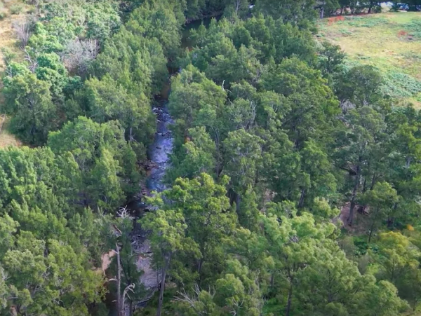 Aerial view of the river flowing through the property, with forest along both banks.