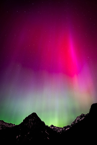 The northern lights in shade of bright pink at the top, then violet, then green lowest down, over snowcovered mountains.