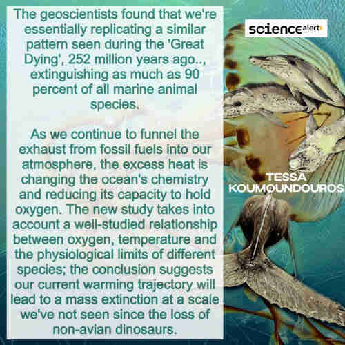 Images of marine animals, along with text from linked article:

The geoscientists found that we're essentially replicating a similar pattern seen during the 'Great Dying', 252 million years ago, when volcanoes spewing greenhouse gasses along with methane belching microbes rapidly amped up Earth's temperatures, extinguishing as much as 90 percent of all marine animal species.

As we continue to funnel the exhaust from fossil fuels into our atmosphere, the excess heat is changing the ocean's chemistry and reducing its capacity to hold oxygen. The new study takes into account a well-studied relationship between oxygen, temperature and the physiological limits of different species; the conclusion suggests our current warming trajectory will lead to a mass extinction at a scale we've not seen since the loss of non-avian dinosaurs.