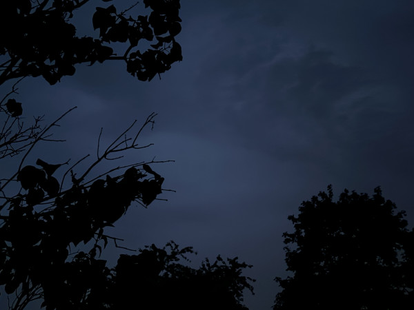 Am unteren Bildrand die Silhouetten von mittig und rechts je eines großen Baumes und links eines Flieders. Der Himmel ist dunkelgrau wolkenbedeckt, das allerletzte Licht hüllt alles schwach ein. Die Ränder der Wolken sind bestenfalls im Dunkeln zu erahnen, in der bereits weit heraufgezogenen Nacht.