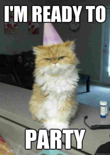 orange cat in party hat
caption: I'M READY TO PARTY