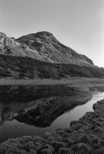 Black and white portrait format photo, showing a small mountain in sunlight, reflected in a swampy pool in shadow.