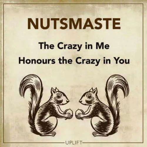 Picture a black and white drawing of 2 grey squirrels facing each other  each offering the other a nut.

The caption reads: “Nutsmaste, the crazy in me honours the crazy in you .”