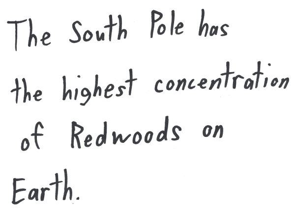 The South Pole has the highest concentration of redwoods on Earth.