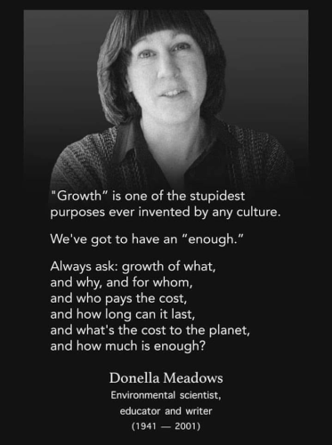 A quote by Donella Meadows, environmental scientist, educator and writer, 1941-2001: 

"Growth" is one of the stupidest purposes ever invented by any culture. 

We've got to an "enough". 

Always ask growth of what, and why, and for whom, and who pays the cost, and how long can it last, and what's the cost to the planet, and how much is enough?