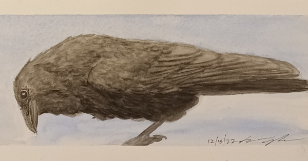 A watercolor painting of a raven looking sideways at the viewer against a blue background