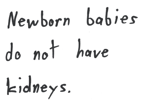 Newborn babies do not have kidneys.
