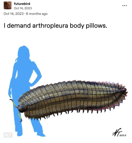 futurebird posts:

"I demand arthropleura body pillows."

An image showing the size of the prehistoric arthropod, arthropleura to scale with an outline of a woman. arthropleura was a millipede like creature two meters long with many legs. arthropleura was a herbibore and gentle. The body is flat and made of plated sections.  
