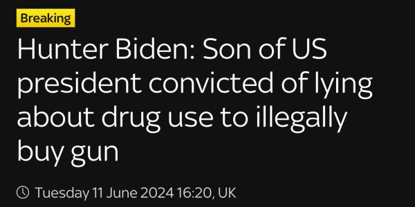Hunter Biden: Son of US president convicted of lying about drug use to illegally buy gun

How many Republicans wake up with a wet pillow thinking about Hunter Biden‘s giant hog?