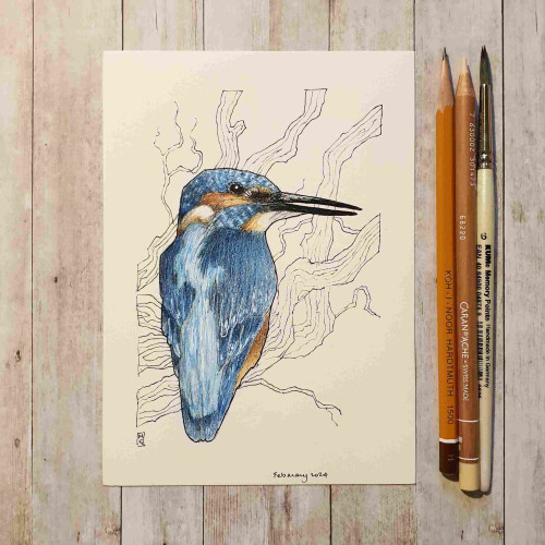 Original drawing - Kingfisher
A drawing of a kingfisher bird. The drawing was made with colour pencil and mixed media on off white paper, it has simplified line drawings of branches in the background. 
Materials: colour pencil, mixed media, acid free off white artist paper
Width: 5 inches
Height: 7 inches