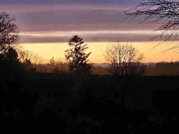 A picture of the dawn, with bare trees silhouetted against an orange and purple sky.