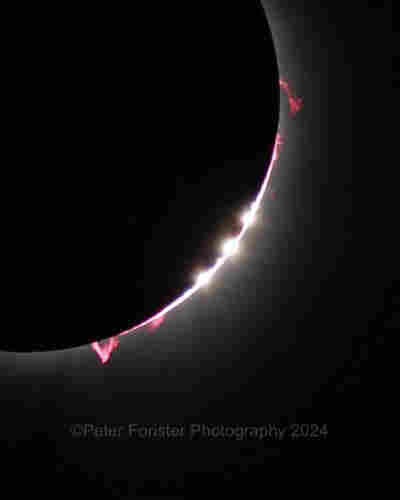 Close up of near totality eclipse showing pink solar flares along the dark rim of the moon. The sun is just 3 brighter spots between the flares. Photo credit is Peter Forister Photography. 