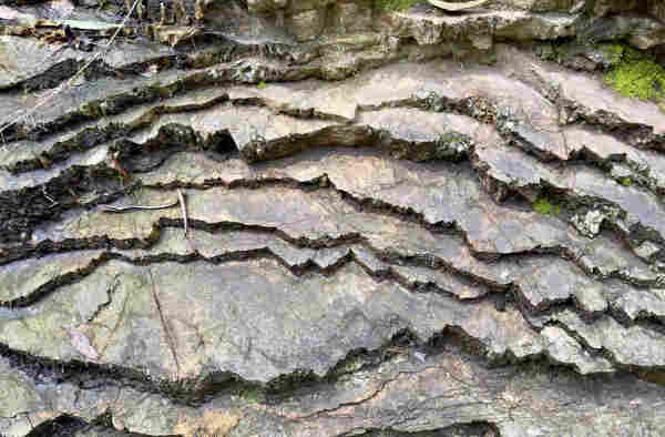 A wall of sedimentary rock, with jagged-edged layers one on top of each other in a chaotic terraced pattern.The rock is mostly gray, but features reddish and greenish areas and some almost blue tones in a broadly mottled pattern. Some parts are brighter green from moss and plants, and there are some spiderwebs in certain areas of it.  It looks kind of strange and broken because of the jagged edges.
