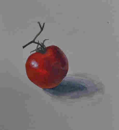 a simple sketch of a tomato on toned paper done in opaque watercolor