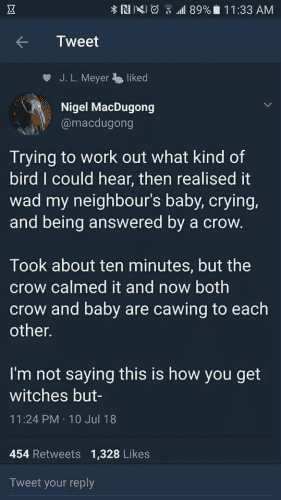 Nigel MacDugong @macdugong Trying to work out what kind of bird I could hear, then realised it wad my neighbour's baby, crying, and being answered by a crow. Took about ten minutes, but the crow calmed it and now both crow and baby are cawing to each other. I'm not saying this is how you get witches but-