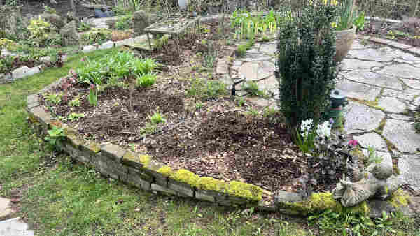 A garden bed before mulching. The ground is dark brown and gray with some bare dirt visible. 