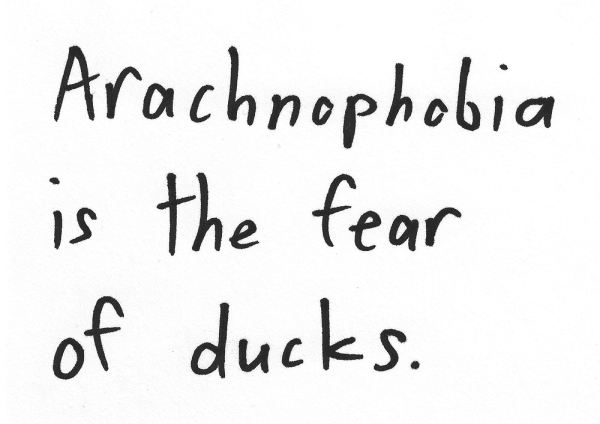 Arachnophobia is the fear of ducks.