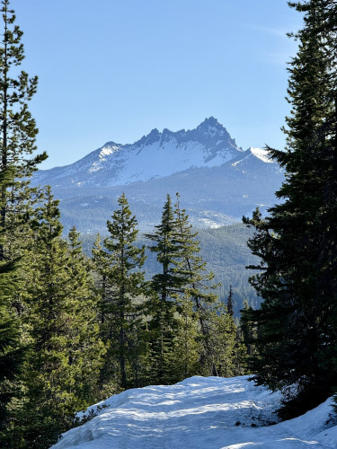 A view of Three Fingered Jack from a snowy forest road. The jagged peaks have snow on their rocky face. Tall green trees on the snowy road side. Light blue sky. May 18, 2024. 