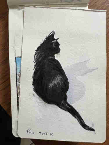 Pen and marker sketch of a black cat sitting with her back to the viewer, looking at something to her right. Her tail is laying on the floor behind her with a bit of a hook at its end. The page has been torn from the small Moleskine watercolour notebook.