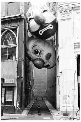 Very strange black and white photo of what appear to be two very large balloons shaped like clown heads (one looking sad, one looking comatose) somehow wedge into a narrow alley between two buildings 