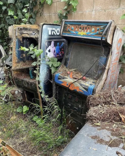 Two ruined arcade cabs, all falling apart with grass and ivy growing all around them - a TRON and a ROBOTRON!