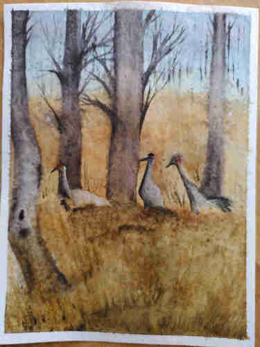 Watercolour Three grey cranes in a field with four trees.