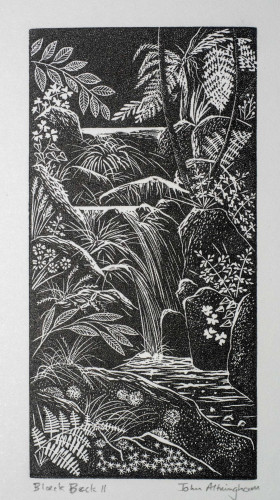 Wood engraving print in black ink. Cascading stream with woodland plants.