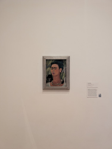 Frida Kahlo's self portrait, photographed at the AKG in Buffalo, NY.

(Zoomed out)